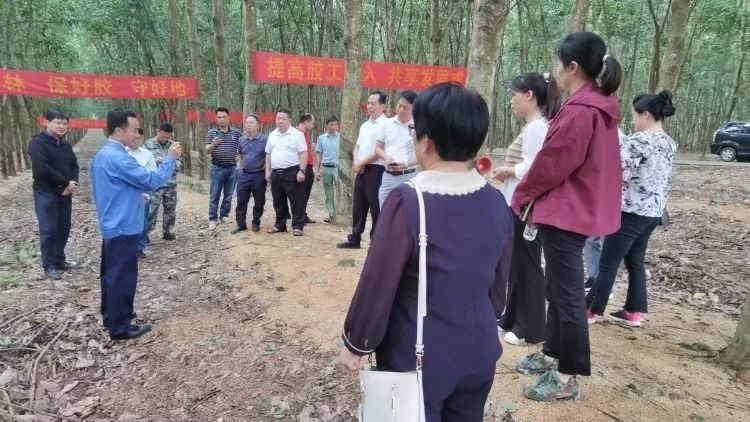 全國(guó)割膠冠軍張健給各單位學(xué)員做標(biāo)準(zhǔn)化膠園建設(shè)及割膠技術(shù)的經(jīng)驗(yàn)介紹。.jpg